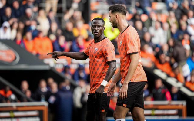 知了为什么晚上在叫 知了为什么晚上在叫